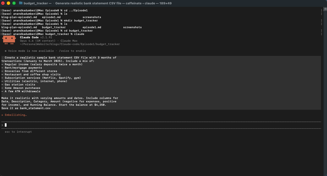 The CSV generation prompt entered into Claude Code